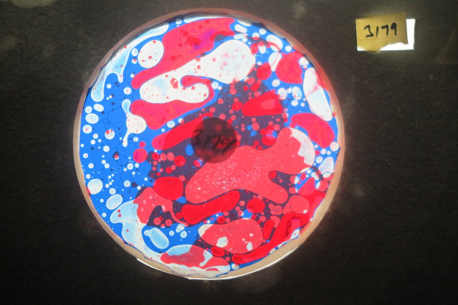 BV3179 bubble vision oil wheel